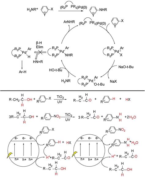 The Role of Carnivas Mafic Schiff in Organometallic Chemistry